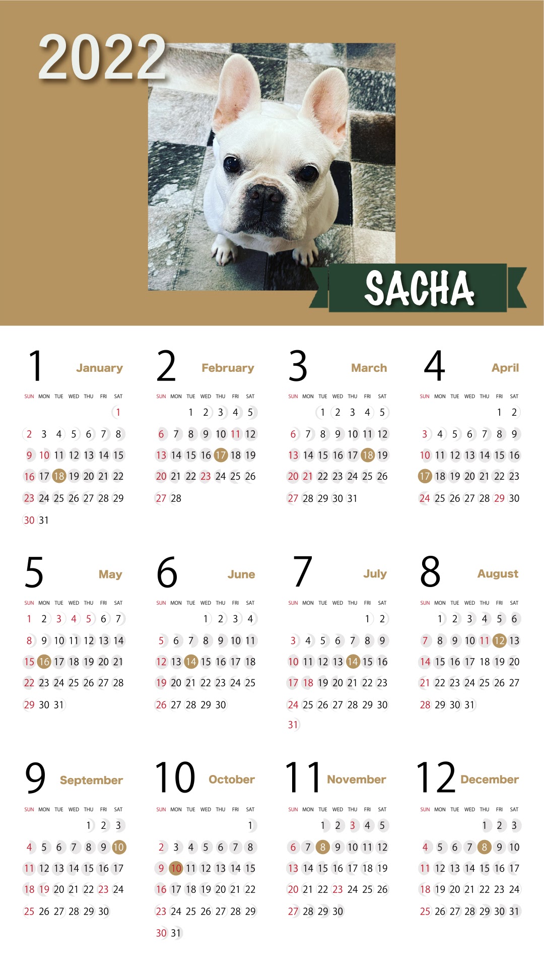 sacha